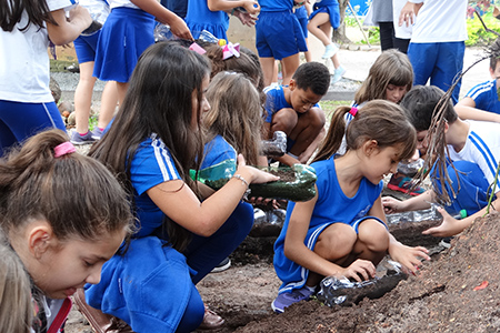 ENSINO FUNDAMENTAL: Terceiros Anos criam horta em aula de ciências